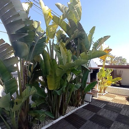 Villa Juncos Can Furnet Dış mekan fotoğraf